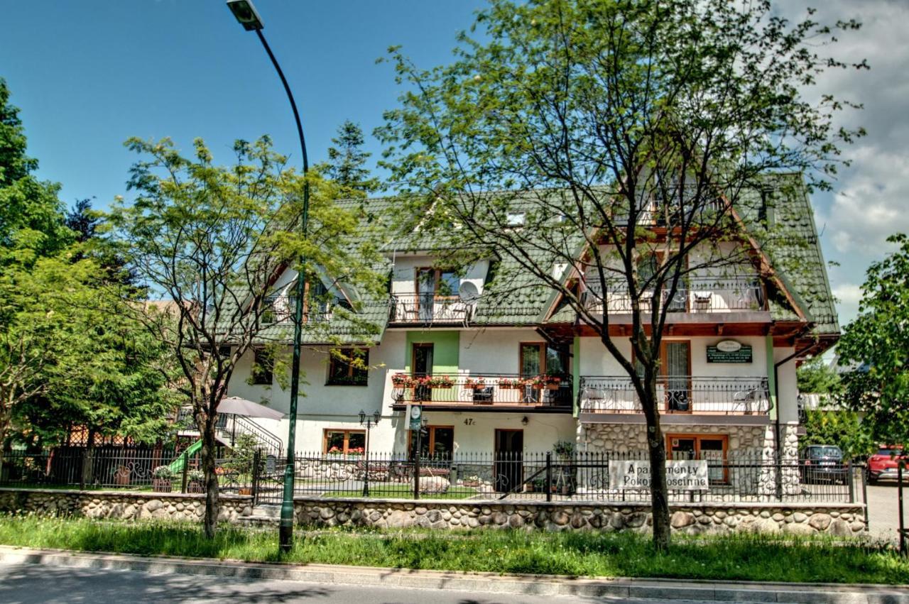 Willa Karpinskich Zakopane Kültér fotó